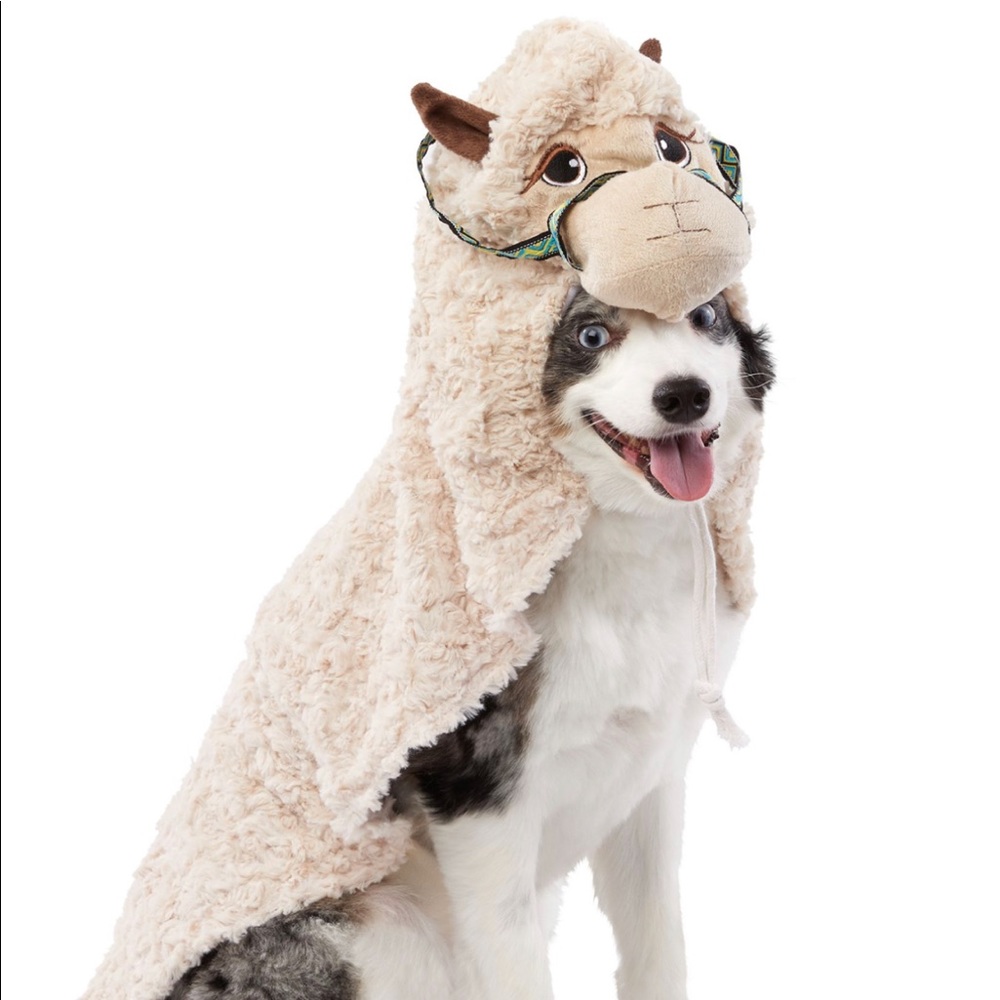 Dog llama costume